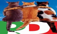 La disonestà intellettuale del PD sorprende sempre 
La disonestà intellettuale del PD sorprende sempre
