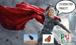 La farfalla e lo struzzo, storia di politica locale 
La farfalla e lo struzzo, storia di politica locale