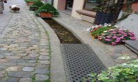 Senza una linea, senza un'idea, senza vergogna 
Senza una linea, senza un'idea, senza vergogna