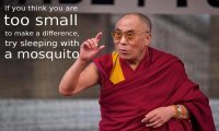 Crowdfunding, Tompoma, io 
Crowdfunding, Tompoma, io